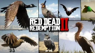 Playing as ALL BIRDS in Red Dead Redemption 2 PC