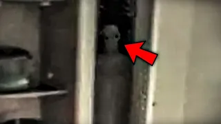 Top 5 Scary Videos That'll Activate Your FIGHT-or-FLIGHT Response!