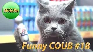 Funny COUB Style #18 ⁄⁄Лучшее в Coub  ПРИКОЛЫ Best Coub