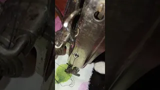 Зингер швейная машинка старая как заправить нитку верхнюю.Зингер швейная машинка обслуживание