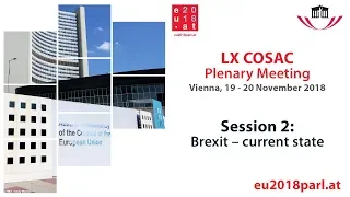 Plenary Meeting of the LX COSAC – Session 2 (19 November 2018)