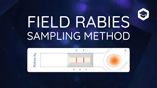Field rabies sampling method