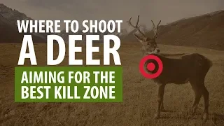 Where To Shoot A Deer