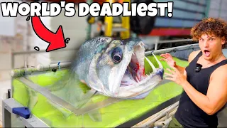 Buying The World's DEADLIEST Aquarium FISH!