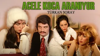 Acele Koca Aranıyor | Türk Filmi | FULL HD İZLE | TÜRKAN ŞORAY