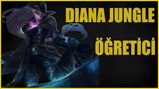 DIANA JUNGLE OYUN TAŞIMA TAKTİKLERİ ÖĞRETİCİ FULL GAMEPLAY