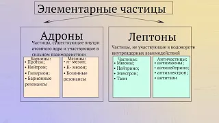 Основные группы элементарных частиц