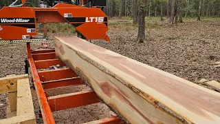 From Cedar Log to Boards in 14 minutes: Wood-Mizer LT15 Sawmill makes it look EASY! #woodworking