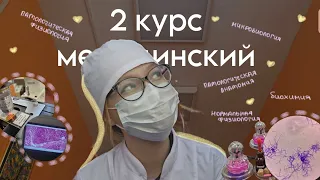 будни студента медицинского//много учёбы и конспектов//микра,патан