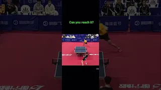 Chinese Amateur Destroying A Pro (Zhou Yu) #tabletennis  #fanzhendong #malong #timoboll