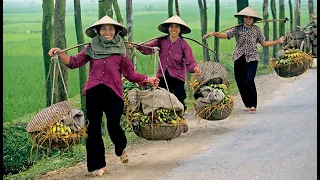 Descubrir el Mundo - Vietnam