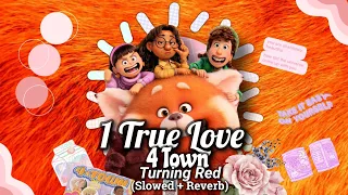 🍍TURNING RED // 1 True Love;; 4 Town (Slower + Reverb) ✨