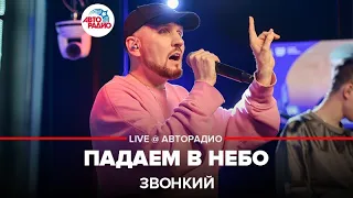 Звонкий - Падаем в Небо (LIVE @ Авторадио)