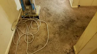 Extremely Soiled & Dirty NEVER cleaned carpet| Very Crunchy Vacuum| Dirtiest Carpet cleaning| Ep.392