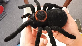 RC Tarantula