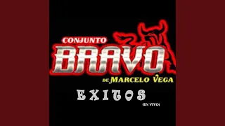 Exitos (En Vivo)