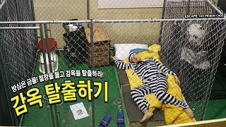 방탈출하기! 철창을 넘어 감옥을 탈출하라! - 허팝 (Escape the Prison Cage)