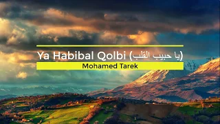 Ya Habibal Qolbi ( يا حبيب القلب ) || by Mohamed Tarek