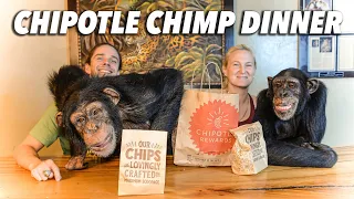 Chimps Get Chipotle for the Wild Family | Chimp Dinner Live