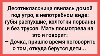 Мать Решила Просвятить Свою Дочь Десятиклассницу! Сборник Свежих Смешных Жизненных Анекдотов!