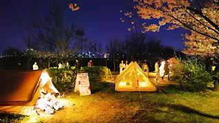 SEOUL YEOUIDO🌸 Cherry Blossom Festival 2024, Full bloom on April 6th, YEOUIDO HANGANG PARK.