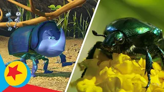 A Bug's Life Real Life Side-by-Side | Pixar