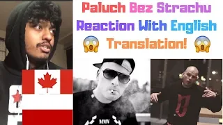 Polish Rap Reaction (Paluch - Bez Strachu) [English Lyrics]