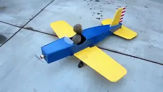 Squirrel steals an airplane