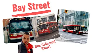 TTC Bay Street Bus History and Tour | Toronto by Transit