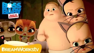 Cat-astrophe | THE BOSS BABY BACK IN BUSINESS