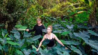 EXCITING DISCOVERY ON OUR ABANDONED RAINFOREST LAND!