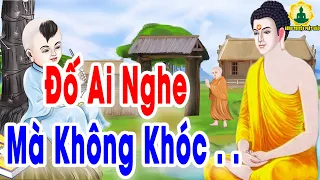 Kể Truyện Đêm Khuya, Nghe Xong Đố Ai Không Khóc Chuyện Cực Cảm Động Pháp Sư Tý Hon -Truyện Phật Giáo