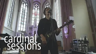 Tamino - Indigo Night - CARDINAL SESSIONS (Haldern Pop Special)