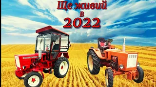 Ціна на хороший Т25 в Україні на 2022 рік