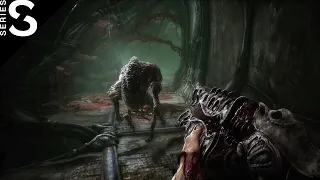 SCORN Xbox Series S Gameplay | Xbox Series S