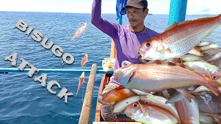 CATCHING BISUGO/ TRADITIONAL HANDLINE FISHING