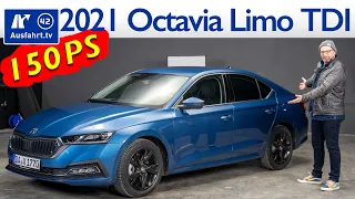 2021 Skoda Octavia Limousine 2.0 TDI Style DSG - Kaufberatung, Test deutsch, Review, Fahrbericht