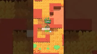 Cache-cache géant sur Brawl Stars !