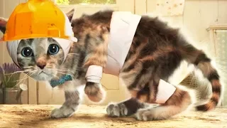 ПРИКЛЮЧЕНИЕ МАЛЕНЬКОГО КОТЕНКА мультик смешное видео для детей про котиков мультфильм #ММ