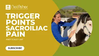Trigger Points for Horses - Sacroiliac Pain