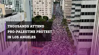 Thousands attended a pro-Palestine protest in Los Angeles