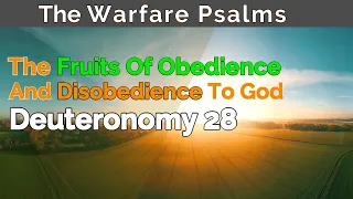 The Fruits Of Obedience And Disobedience To God | The blessings and curses in Deuteronomy 28!