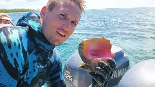 CONCH CLEANING HACK!!! | EASIEST WAY TO CLEAN AND COOK A CONCH! | CJS EP: 12