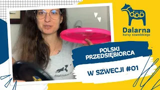 Polski przedsiębiorca w Szwecji #01 - Joanna