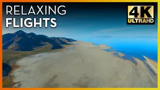 Relaxing Beach Landing Plane Flight