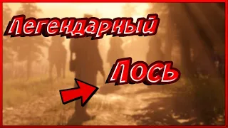 Легендарный лось | Red Dead Redemtion 2