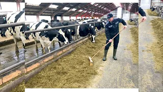 We need a worker for a cow farm in Poland. Working on a farm in Poland