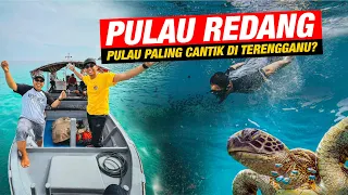 Menyelam dengan Penyu di Taman Laut Pulau Redang!