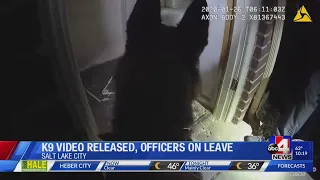 K9 Apprehension Video Release