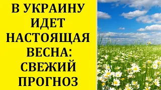 В УКРАИНУ ИДЕТ НАСТОЯЩАЯ ВЕСНА: ПРОГНОЗ НА ВТОРУЮ ПОЛОВИНУ ВЕСНЫ И НАЧАЛО ЛЕТА